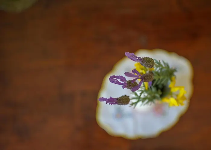 Isola Dei Calanchi - Country house Atri